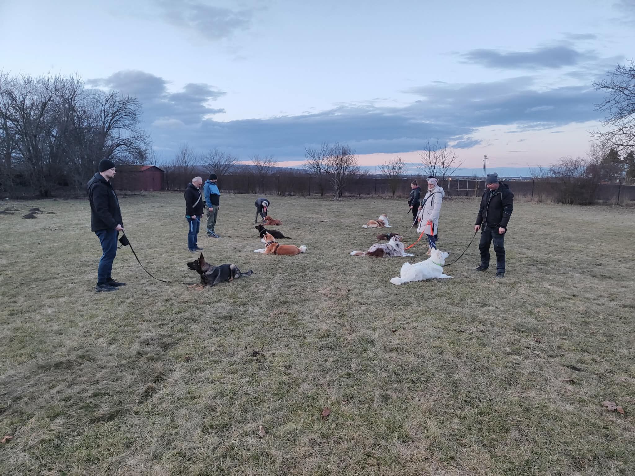 Prostejov 23022026.jpg